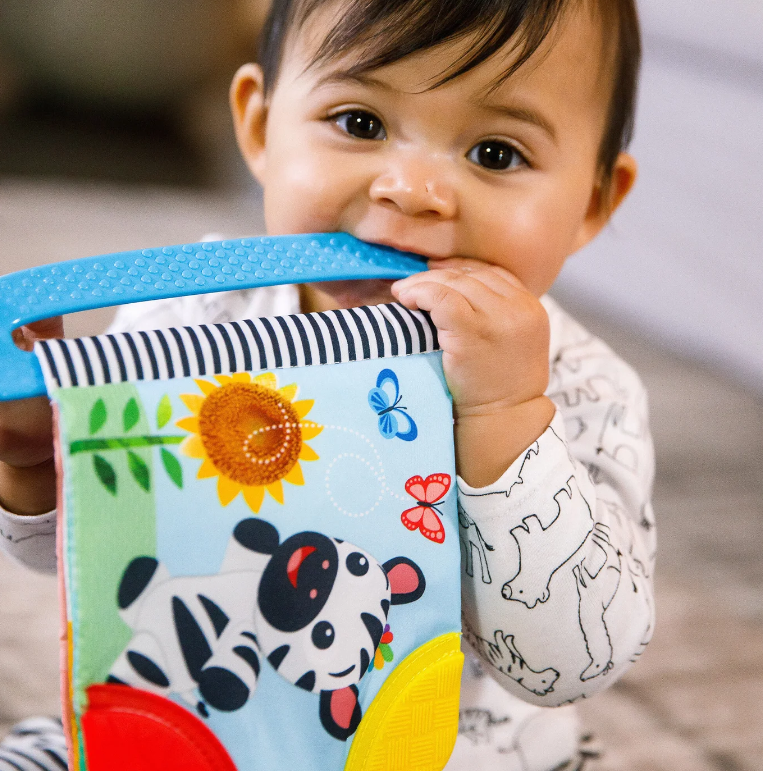 Baby Einstein | Curious Explorers Teether Book™ - Plumme Box