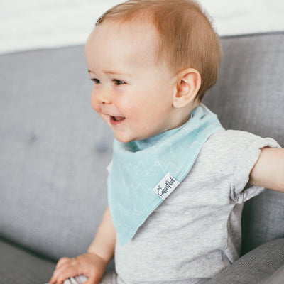 Archer Bandana Bibs