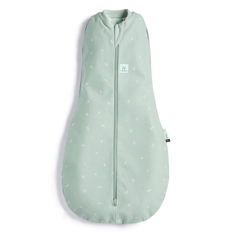 ErgoPouch | Ergococoon - 0.2 tog - 3-12M - Plumme Box