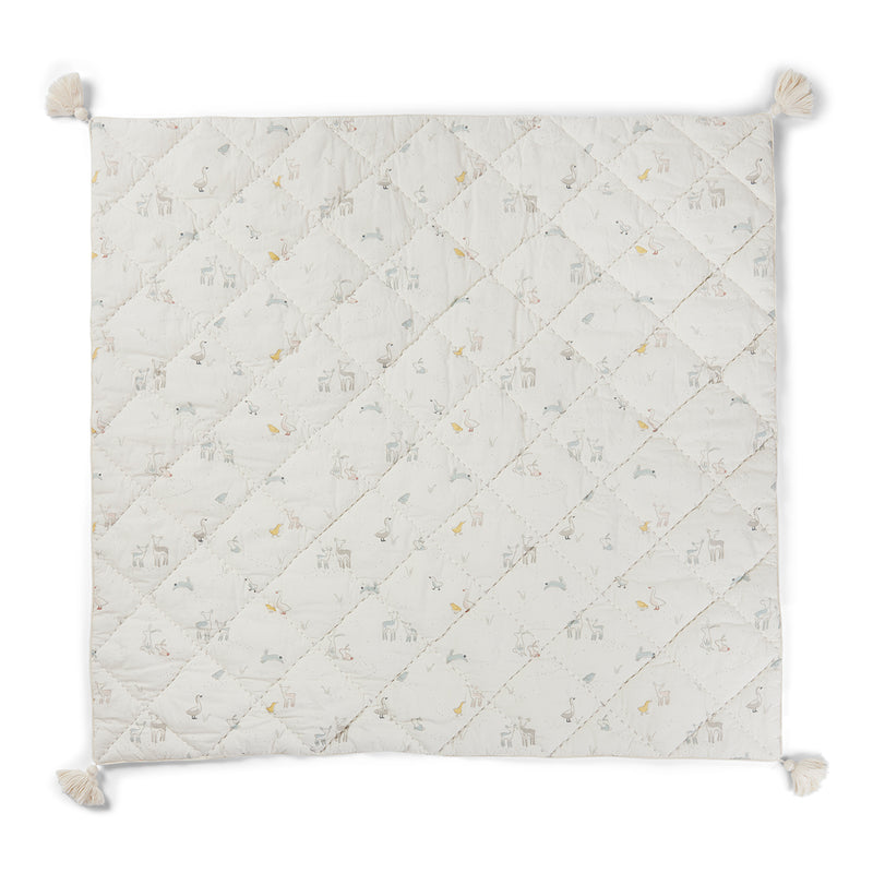 PEHR Blanket