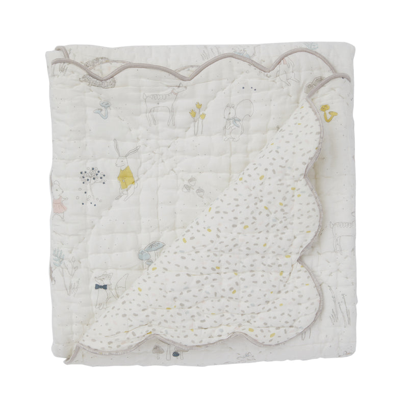 PEHR Blanket