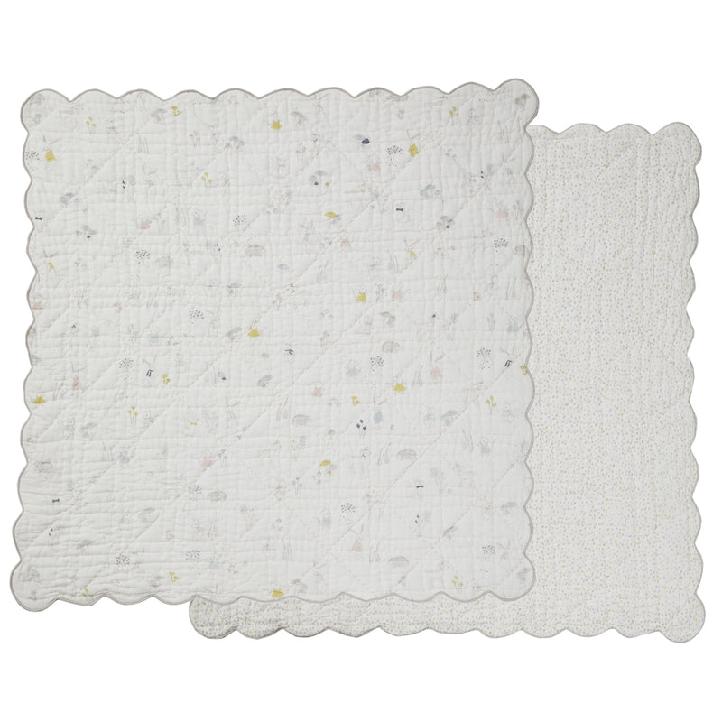 PEHR Blanket